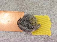 Materialien zum Beuys-Workshop, Kupferplatte, Filz und Bienenwachs