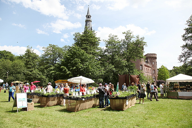 Besucher:innen an Marktständen beim Kräutergartenfest