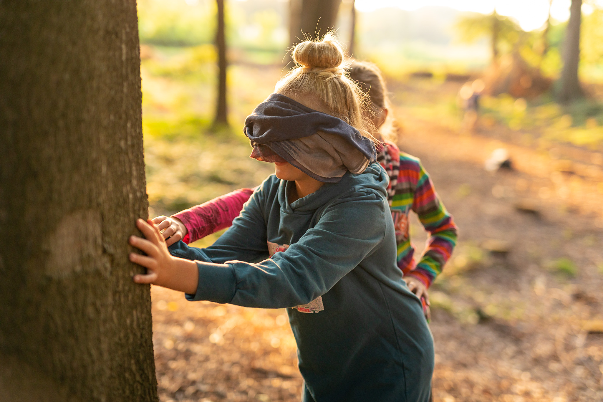 Kind mit verbundenen Augen befühlt die Rinde eines Baumes